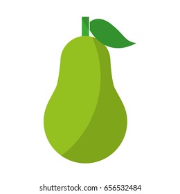 pear fresh fruit isolated icon