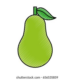 pear fresh fruit isolated icon