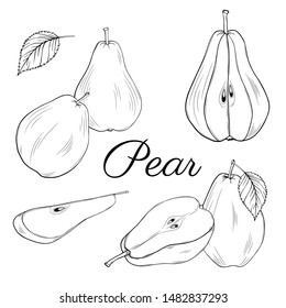 Pear. Fresh fruit. Whole pear, slice, cut pieces, plant leaves. Isolated on white background.Graphic vector set. Hand drawn. Black and white. Stylized linear illustration. Coloring page. Engraving.