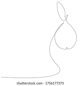 Pear fruit background, vector illustration