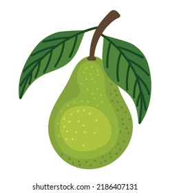 pear fruit design over white