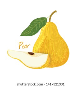 Pear, fruit doodle drawings vector illustration.
