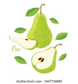 Pear, fruit doodle drawings vector illustration. 