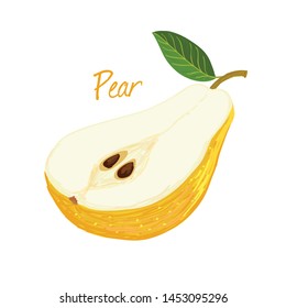 Pear, fruit doodle drawings vector illustration. 