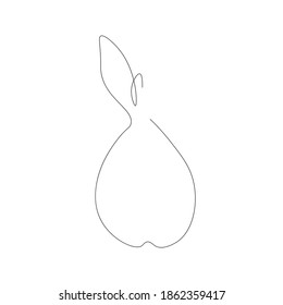 Pear fruit drawing on white background. Vector illustration