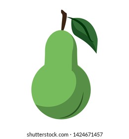 Pear fruit food isolated cartoon vector illustration graphic design