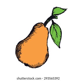 pear fruit freehand drawing vector illustration