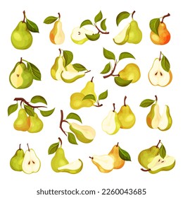 Pear Fruit Half and Whole as Ripe Garden Crop Big Vector Set