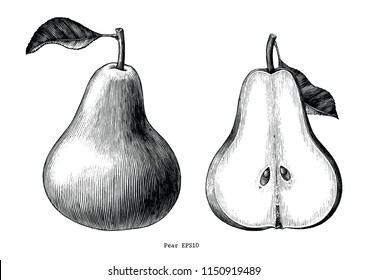 Pear Fruit Hand Draw Vintage Clip Art Isolated On White Background