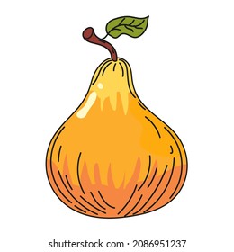 Pear fruit hand drawing colorful doodle icon, organic farm product. Vector sketch illustration vintage, retro engraving style
