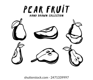 Pear fruit hand drawn concept on white background