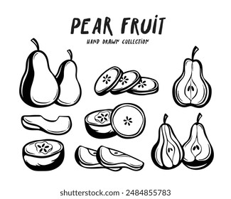 Pear fruit hand drawn concept on white background