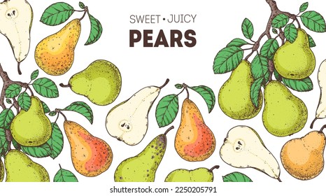 Pear fruit hand drawn design. Vector illustration. Design, package, brochure illustration. Pears fruits frame illustration. Design elements for packaging design and other.