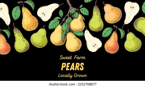 Pear fruit hand drawn design. Vector illustration. Design, package, brochure illustration. Pears fruits frame illustration. Design elements for packaging design and other.