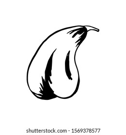 Pear fruit icon in hand drawn style. Vector illustration. Perfect for print, kitchen, textile