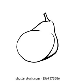 Pear fruit icon in hand drawn style. Vector illustration. Perfect for print, kitchen, textile