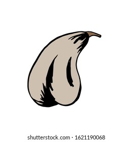 Pear fruit icon in hand drawn style. Vector illustration. Perfect for print, kitchen, textile