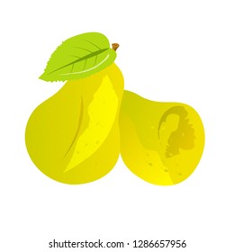 pear fruit icon image vector illustration design
