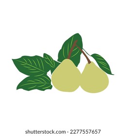 pear fruit icon vector illustration design