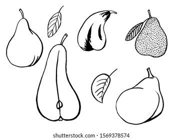 Pear fruit icons in hand drawn style. Vector illustration. Perfect for print, kitchen, textile