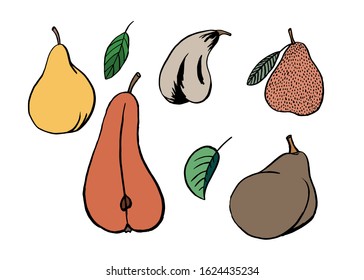 Pear fruit icons set in hand drawn style. Vector illustration. Perfect for print, kitchen, textile
