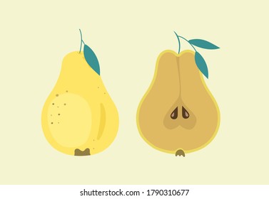 Pear. Fruit. Pear illustration. Juicy fruit.  Healthy food. Pear isolated. Fresh fruit. Fruits draw. 