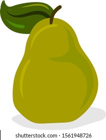 Pear fruit, illustration, vector on white background.
