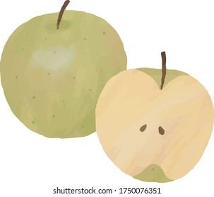 Pear Fruit Illustration Water Paint