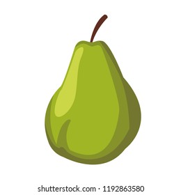pear fruit isolated