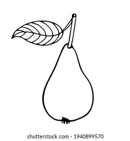 Pear fruit with leaf hand drawn sketch isolated. Doodle Outline vector illustration. Vegetarian food sketch. Black and white Pear. Design Power for label, poster, print, infographic, website.