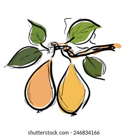 Pear fruit and leaf on the branch on white background