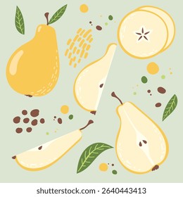 Pear fruit with Leaves, Pear Slice, seeds. Summer Fruit. Vector Illustrations