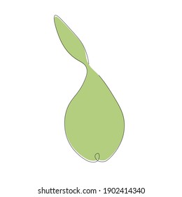 Pear fruit line drawing, vector illustration