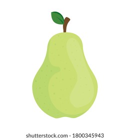 pear fruit on white background vector illustration design