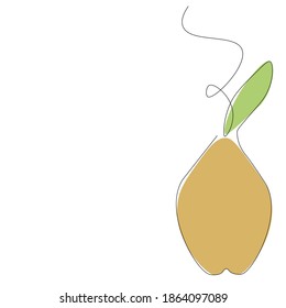 Pear fruit on white background. Vector illustration
