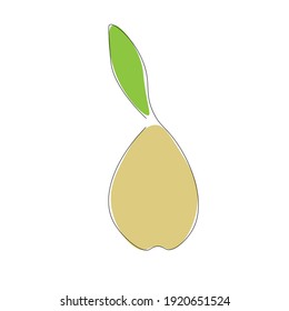 Pear fruit on white background, vector illustration