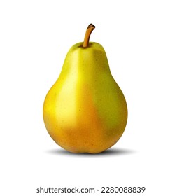 Birne. Obst. Pflanzen. Vektorgrafik. Grafiken. Weißer Hintergrund. Wird für Collage im Web Design verwendet.