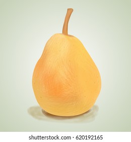 Pear fruit realistic vector illustration. Pear on a white background