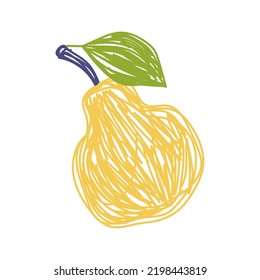 Pear fruit sketch. Color vector illustration. Pen or marker doodle drawing