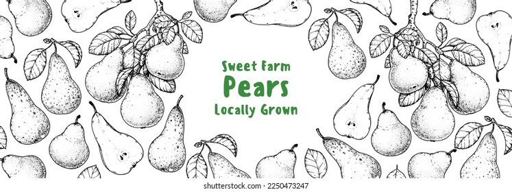 Pear fruit sketch, hand drawn design. Vector illustration. Design, package, brochure illustration. Pear fruit frame illustration. Design elements for packaging design and other.