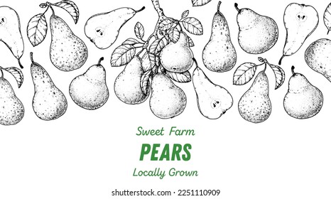 Pear fruit sketch, hand drawn design. Vector illustration. Design, package, brochure illustration. Pear fruit frame illustration. Design elements for packaging design and other.