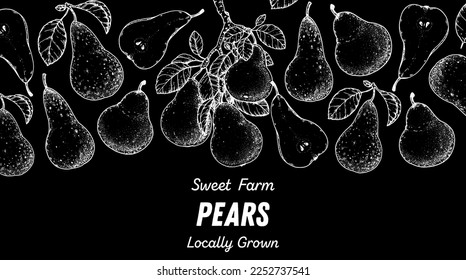 Pear fruit sketch, hand drawn design. Vector illustration. Design, package, brochure illustration. Pear fruit frame illustration. Design elements for packaging design and other.