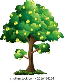 Árbol de frutos perecederos aislado en ilustración de fondo blanco