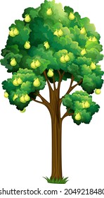 Birnenstein einzeln auf weißem Hintergrund, Vektorgrafik
