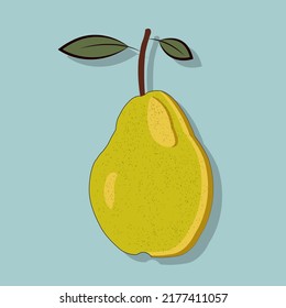 Pear Fruit Vector for Illustration