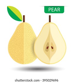 Pear, fruit vector illustration