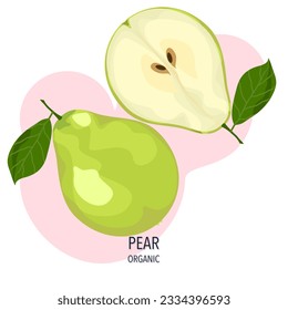 Pear fruit vector illustration and cut in half on a white background.