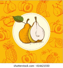 Pear. Fruit. Vector illustration. The fruit is hand-drawn. Hand drawn vector illustration.