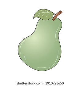 Pear fruit vector illustration, isolated colored hand drawn linear style 