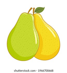 Pear Fruit Vector Illustrations Isolated